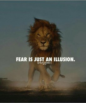 1 leeuw angst.jpg