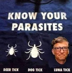 parasites.jpg