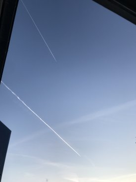 B66E5D3F-EB90-4676-8BB9-6D81570B7F74.jpeg
