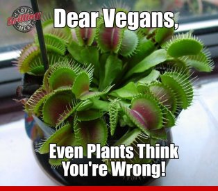 vegan1.jpg