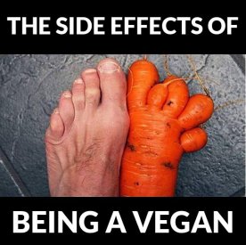 vegan2.jpg