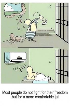 Jail.jpg