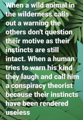 warn.jpg