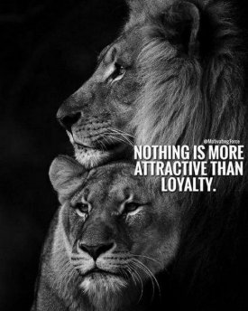 1 leeuw loyaliteit.jpg