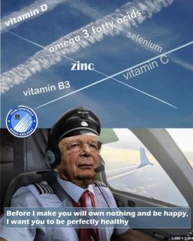 74487.jpg