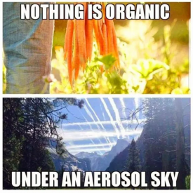 1740316139922.png
