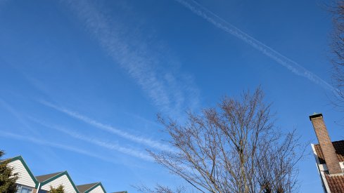 1000027104.jpg