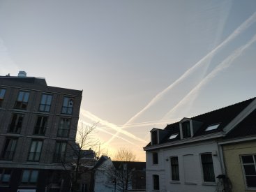 1000030744.jpg