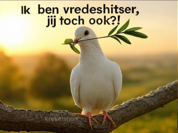 1741780921832.png