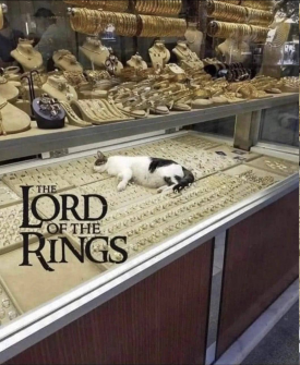 1743175853347.png
