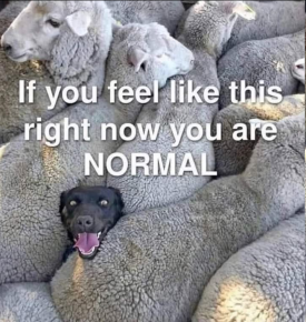 1744023167492.png