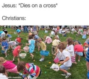 1000035136.jpg