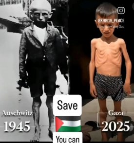 1000037377.jpg