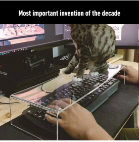 1748529509893.png