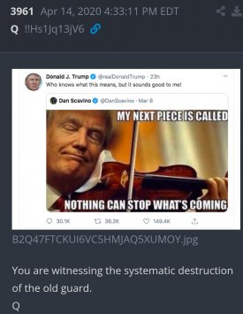 1000041094.jpg