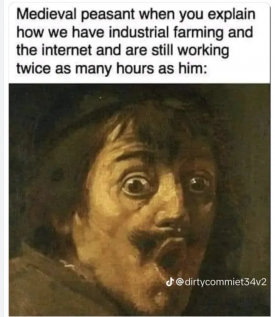 1753003459597.png