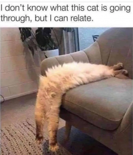 1759257442023.png