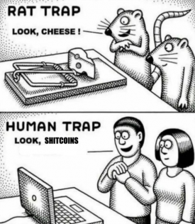 1771691582081.png 1771691582081.png