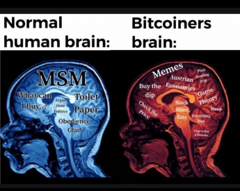 1779684302647.png