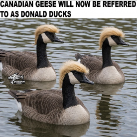 1788094115296.png 1788094115296.png