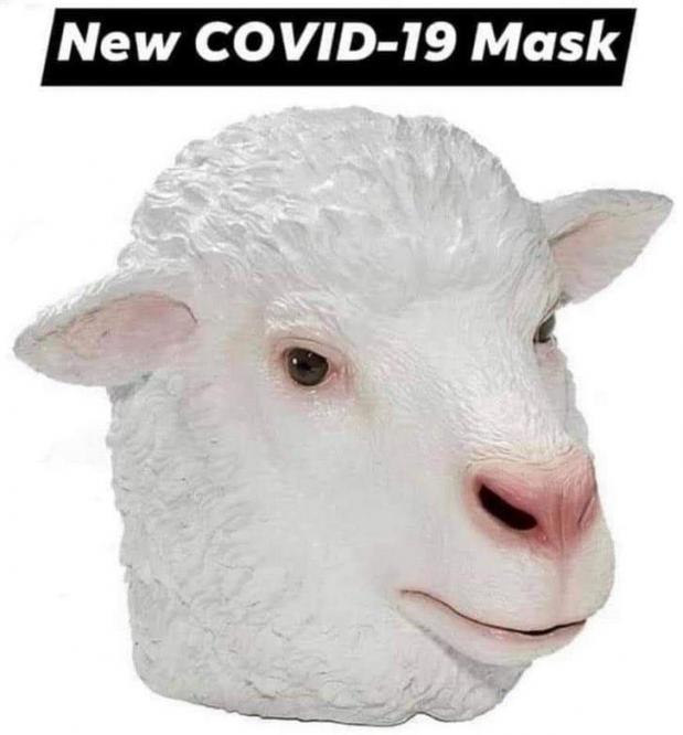 T8zrv94spupknfjhcpjd9dvbp3wqynwyx.jpg