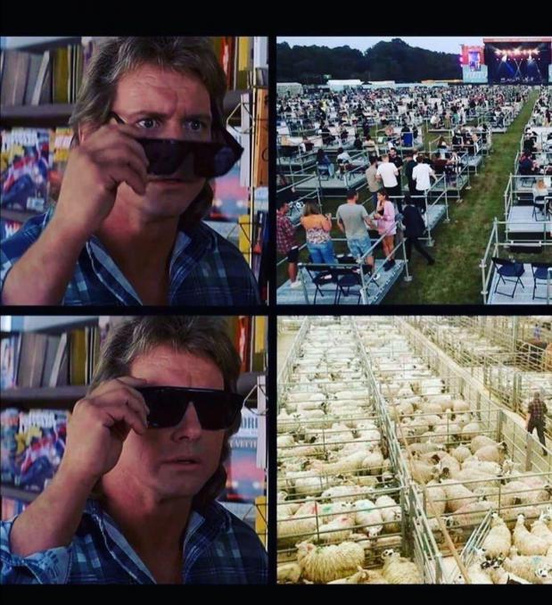Tzzra3mg4edvnuakbybgvuxw93iadyjan.jpg